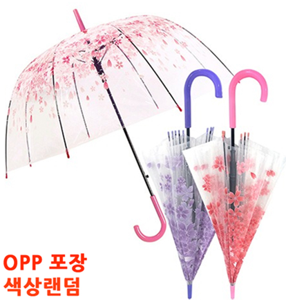 벚꽃 투명우산